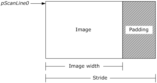 Stride Length