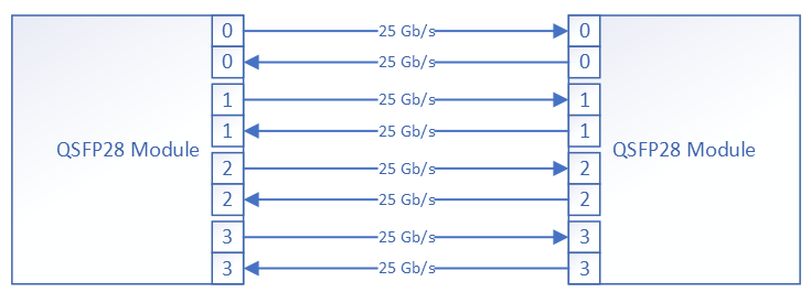 QSFP28 인터페이스 (개념도)